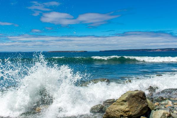 Conception Bay South