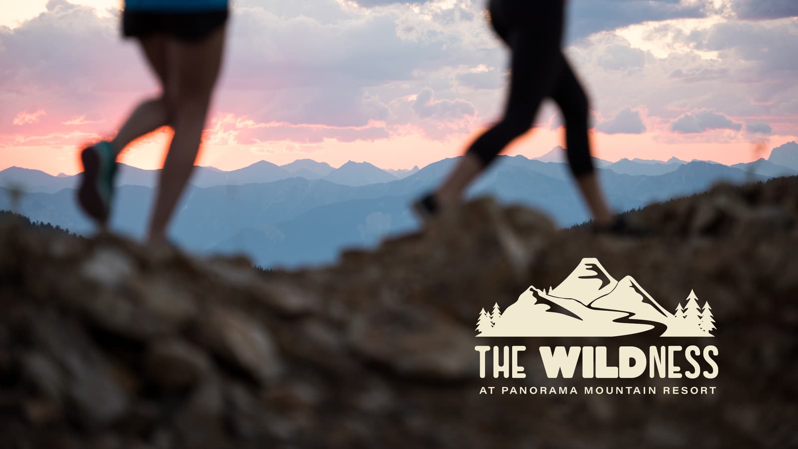 The WILDNESS event image