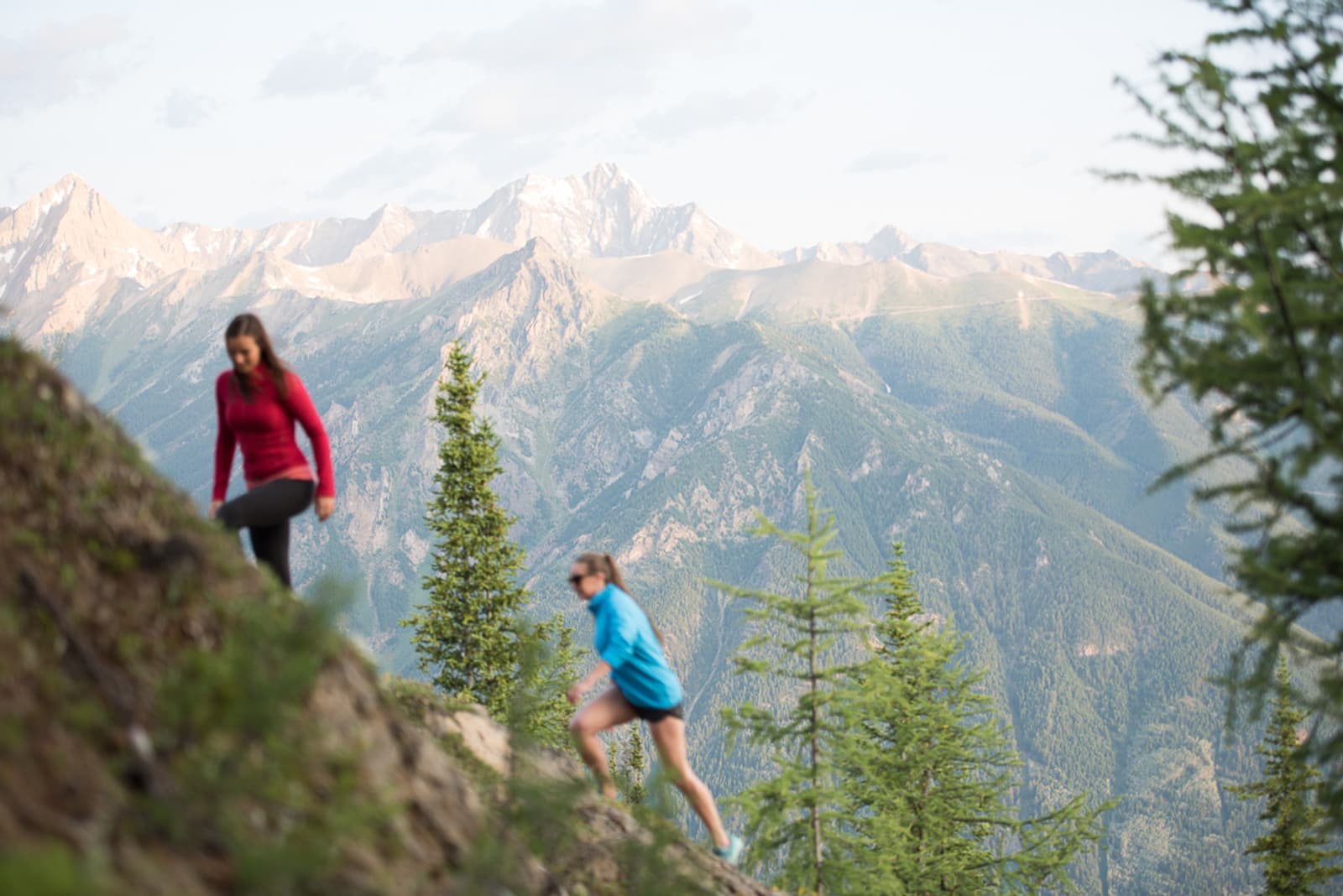 Two people are hiking up a steep, grassy slope with tall pine trees and a backdrop of rugged, sunlit mountains under a clear sky.