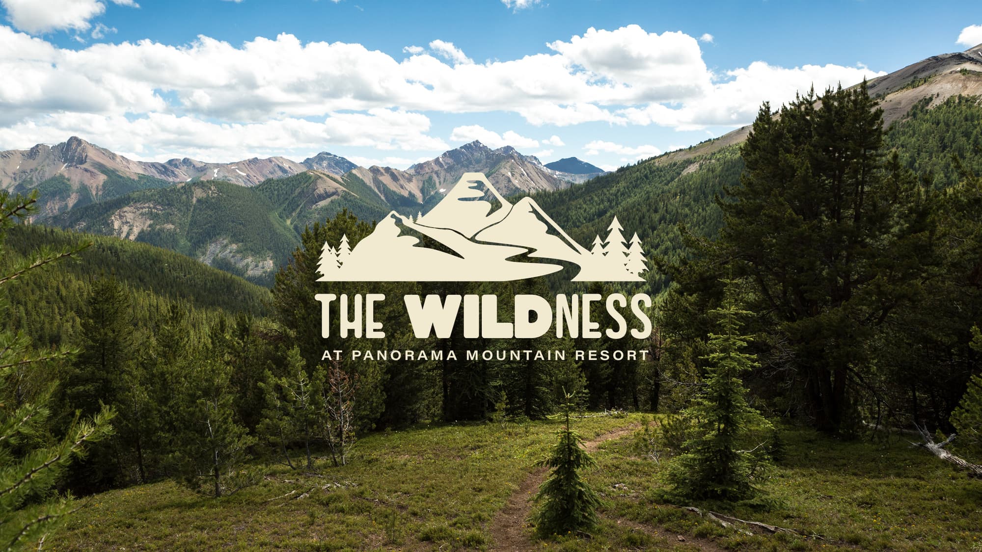 The WILDness header image