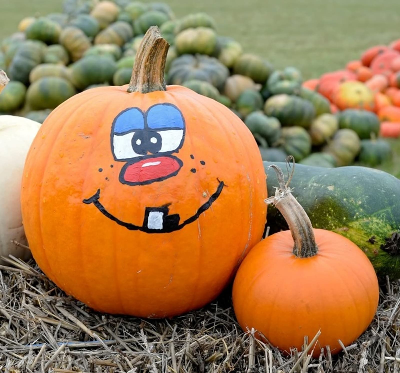 Haunted Hustle 5K / 10K / 1K Run event image