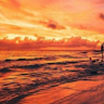 Michee D profile picture